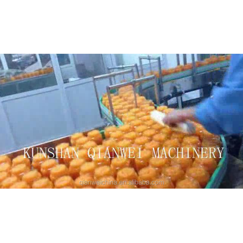 Automatic Orange Juicer Machine Presse Orange Juicer Industriel Orange Peeler Fruit Juice Making Machine