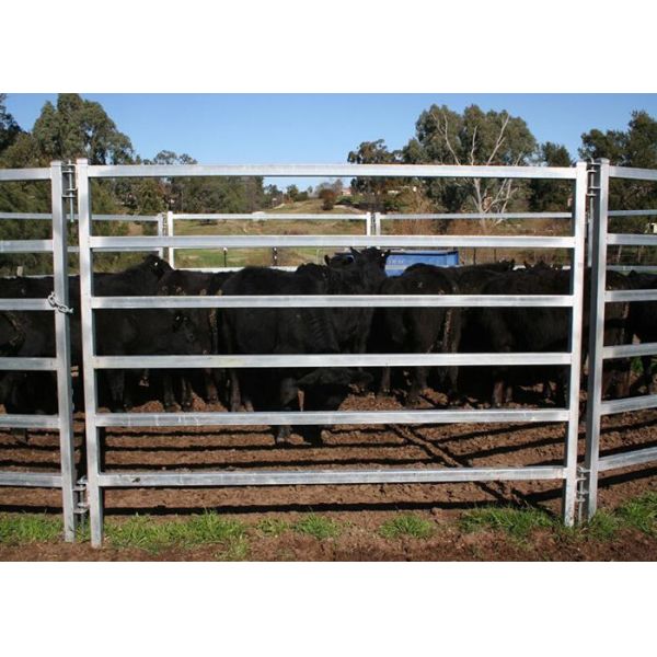 Oval Tube Cow Fence Panel