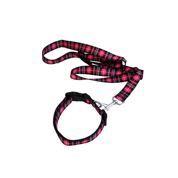 Bright Dog Lead And Collar Set Adjustable 30-48cm Buckledown Dog Collars