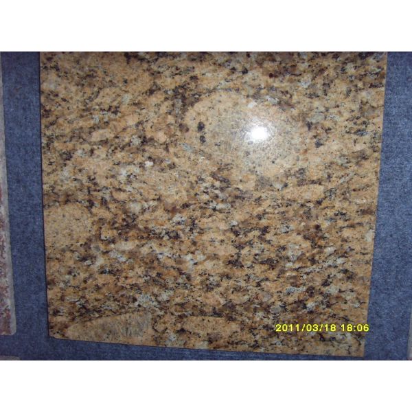 Gialla Veneziano Yellow Granite Stone Tiles , Natural Granite Floor Tiles Good Weather Tolerance