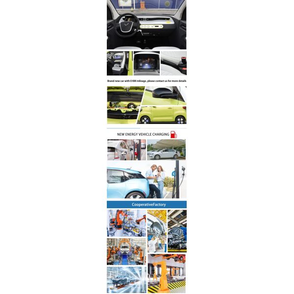 Pure Mini Electric Car 2 Seater Modern Compact New Energy Vehicles