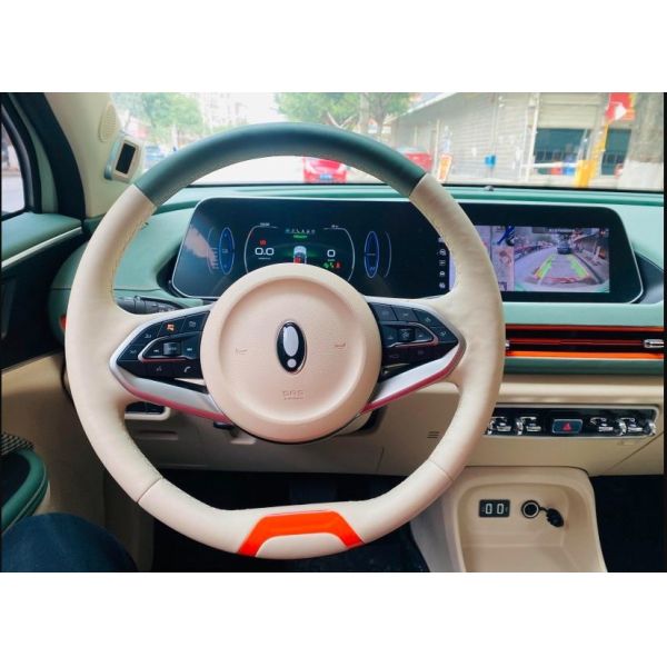 Кот 150km/h долгосрочного 4 привода электрический SUV ORA колеса хороший для взрослых