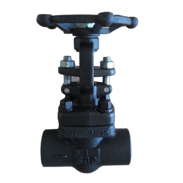 pressure 800LB ANSI standard forged globe valve