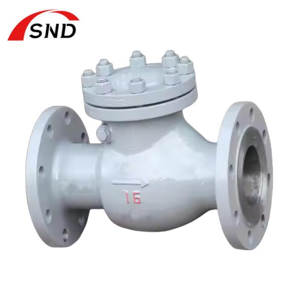 ASTM Standard Carbon Steel Flange Check Valve DN150 For Chemical Industry