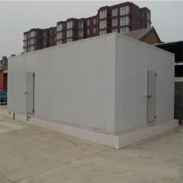 Caminhada comercial de Copeland SS 304 do refrigerador de ar no congelador