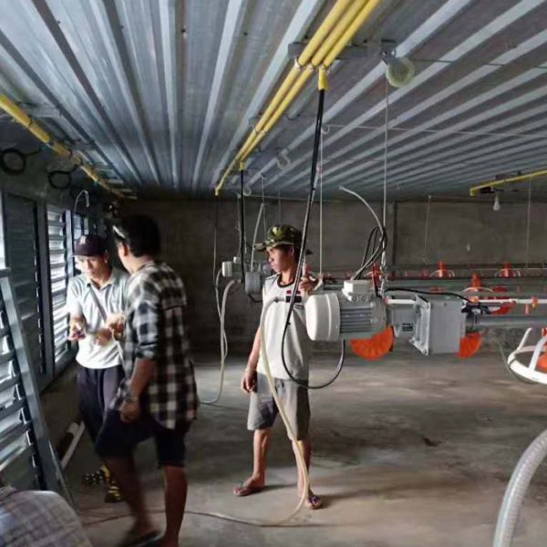 Breeder Chicken Farm House Poultry Farm Equipment