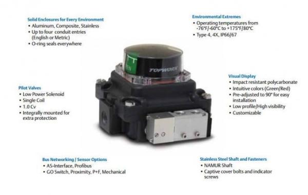 Or - Contrôleur Logique Programmable (PLC) Flashé Or pour Zones Dangereuses TXP-E20GNPM