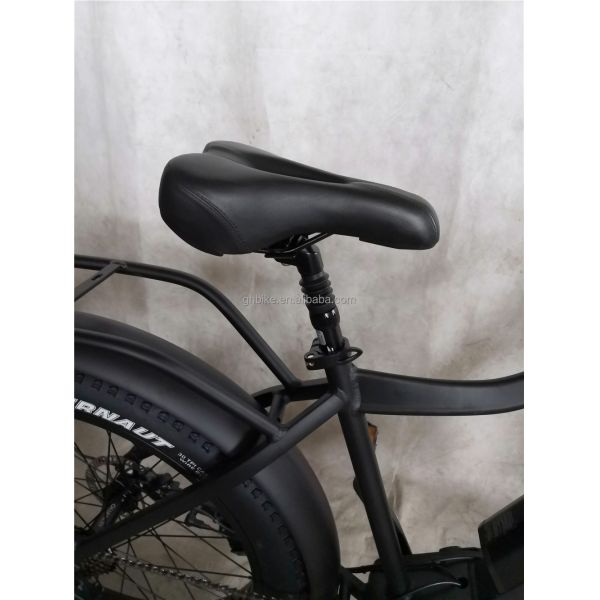 Adult Fat Tyre Cycle E Ebike Electric Bike 48V 1000W 21A Central Mid Drive Motor 26 Inch