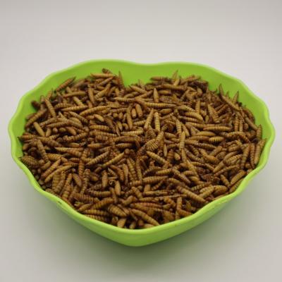 GMP+ FDA Dried Black Soldier Fly Cool And Dry Place Storage