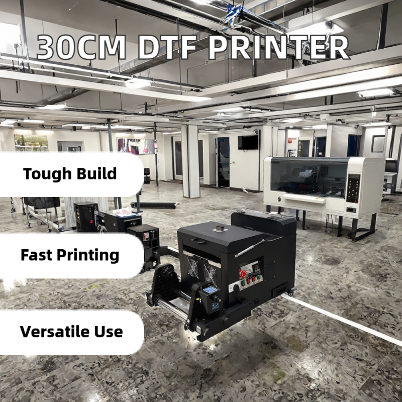 High-Speed 30cm Desktop DTF Printer All-in-One Industrial DTF Printer for Clothes and Pet Film New Condition