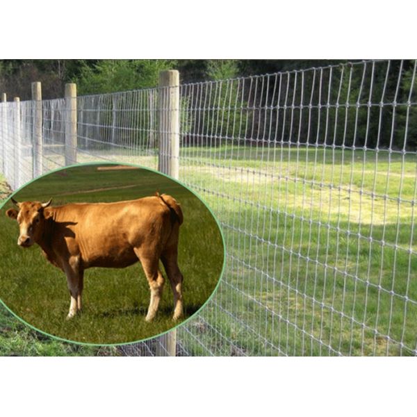 Deer Livestock Wire Fencing , Welded Wire Stock Panels 1.8-3.0mm Dia