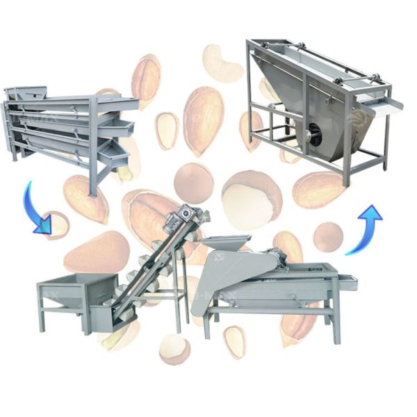 Commercial Usage Almond Processing Line Making Machine for Nuts Peanut Almond Chestnut