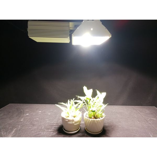 Digital Greenhouse CMH Grow Lights 630w Hydroponics Grow Light Fixture