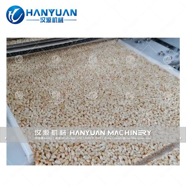 Rice Candy Bar Production Line