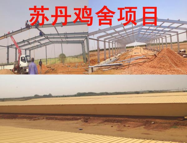 Automatic Steel Structure Peb Customized Poultry Chicken Farming Shed