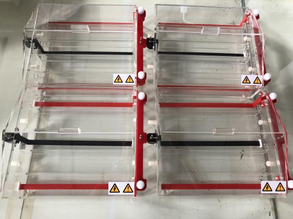 Cellulose Acetate Membrane Horizontal Gel Electrophoresis Apparatus JY-SP7