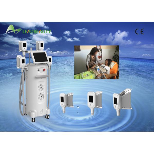 LED Light Professional 4 handpiece cryolipolysis fat freezing / cryolipolysis slimming machine