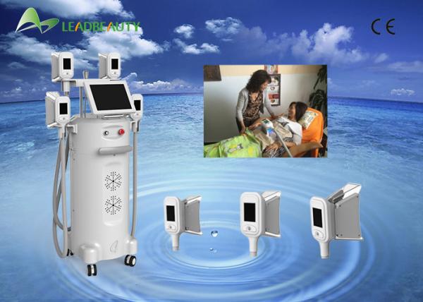 Vertical cryo fat freeze machine weight loss cryo fat freeze slimming machine