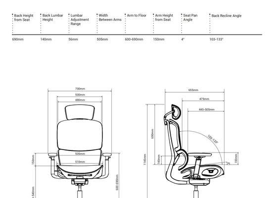 H2 Ergonomic Office Chair with 4.0 Dual-Back Design for Dynamic Spinal Support and Multiple Size Options