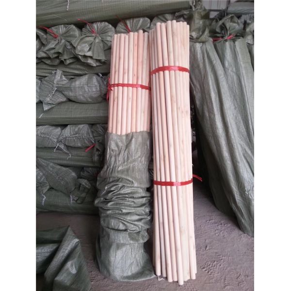 Mexico Dome Eucalyptus 3.2cm Diameter Wooden Broom Stick