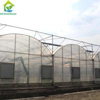 Large Clear Plastic Sheeting Greenhouse 4m-7.5m Height Galvanized Steel Greenhouse