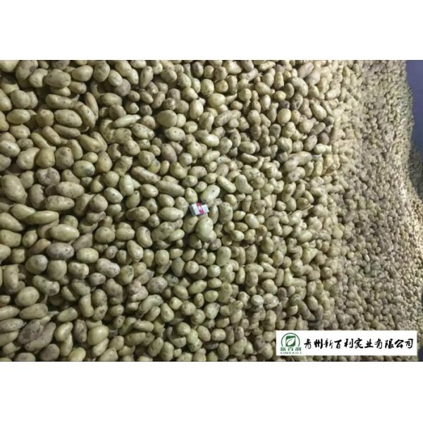 Smooth Surface Chinese Potato , No Pollution Organic Potatoes 5 Kg / Bag