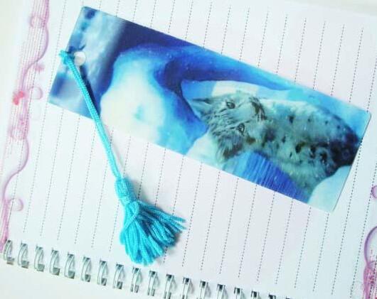 PLASTIC LENTICULAR Wholesale Plastic Printing Lenticular PET 3d bookmarks made in china