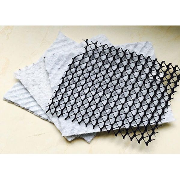 800g / M2 del HDPE compuesto de fuerza de alta resistencia de Geonet para la estructura subterráneo