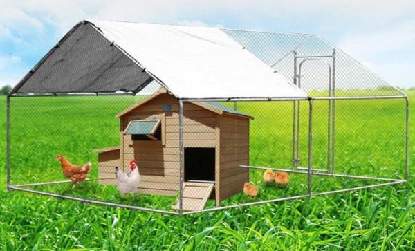 Galvanized 3m Metal Walk In Chicken Run For Exercise