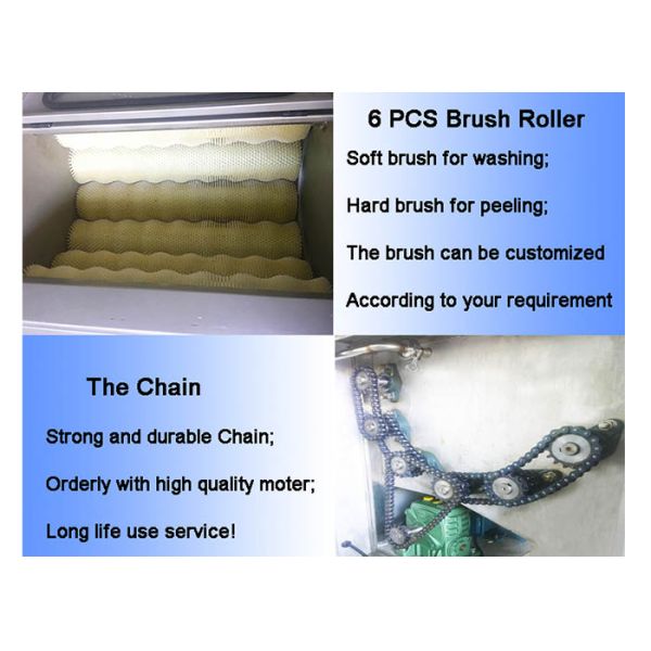 Сладкий картофель моркови редиски таро щетки слезая и моя машину Пелер