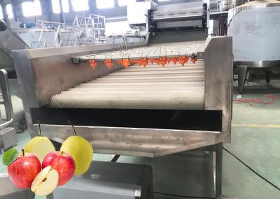 A linha de processamento profissional Turnkey de Apple das microplaquetas da pera de 440V projeta-se