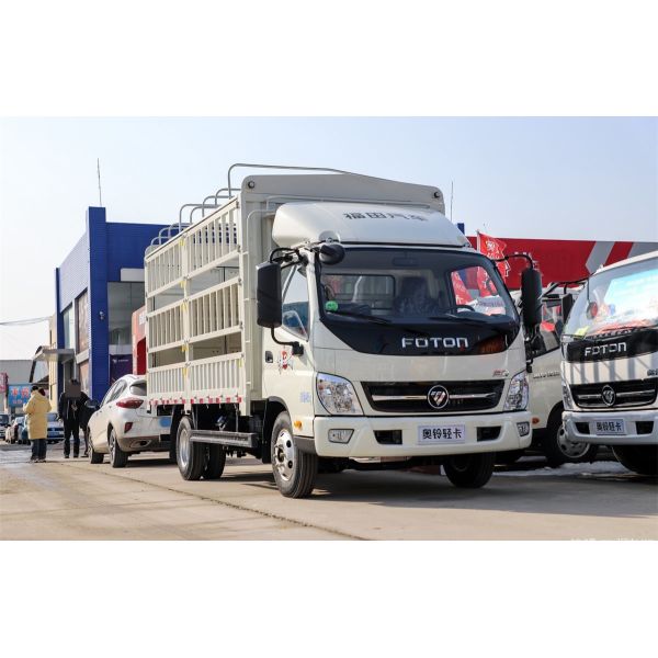 Foton Aoling MRT Jeunesse Invincible édition 146 chevaux 4,17 mètres