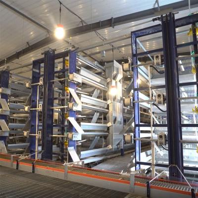 H Section Steel Fully Automatic Broiler Chicken Cage with Galvanized Steel Poultry Farm Equipment