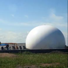 Enzima de biogás, enzima multi, enzima de bioenergia, enzimas industriais