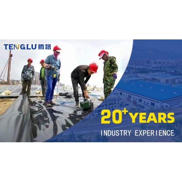 Geomembrane Welding Machine 0.2-2.5mm with Function PE PP PVC Plastic Welder