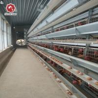 Le poulet de batterie d'immersion chaude met en cage le type en acier galvanisé H de la couche d'oeufs 384 oiseaux/ensemble