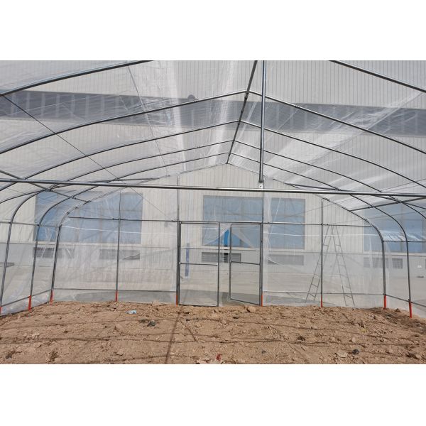 Economical Easy Installation Polycarbonate Greenhouse Kits Heavy Duty Poly Tunnel