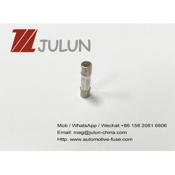600V 500V 5x20mm Time Delay Ceramic Tube Fuses