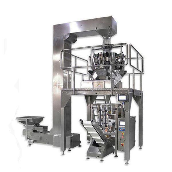 14 máquina automática vegetal do acondicionamento de alimentos das cabeças V620