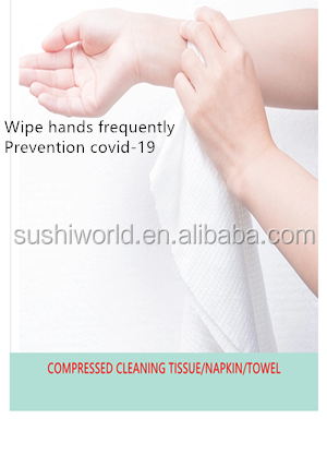Home/Hotel/Kitchen Wet Facial Tissue Towel Dispenser with Compressed Tissue Pack