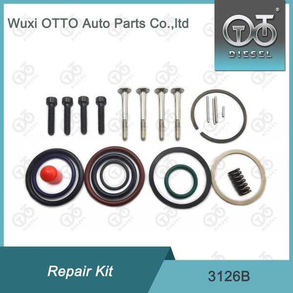 CE прошел 3126B Injector Rebuild Kit Bag Packaging