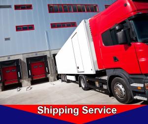Experiente Carga Trucking Empresa para o recolhimento e a entrega do recipiente