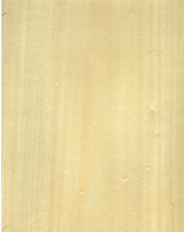 0.5mm Sliced Veneer Basswood Crown Cut Veneer interior For Edge Banding