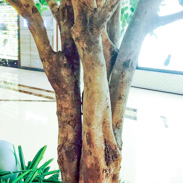 Large Ficus Foliage Artificial Landscape Trees With Lush Green Leaves No Sunlight