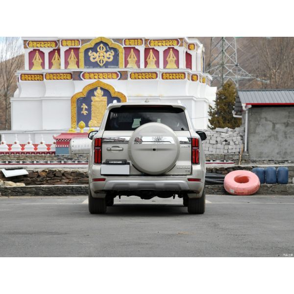 Бензиновые бензиновые гибридные автомобили 3.0T спортивная версия построена 5 мест Золотой бак 500 2023