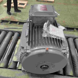 Three Phase Electric Motors