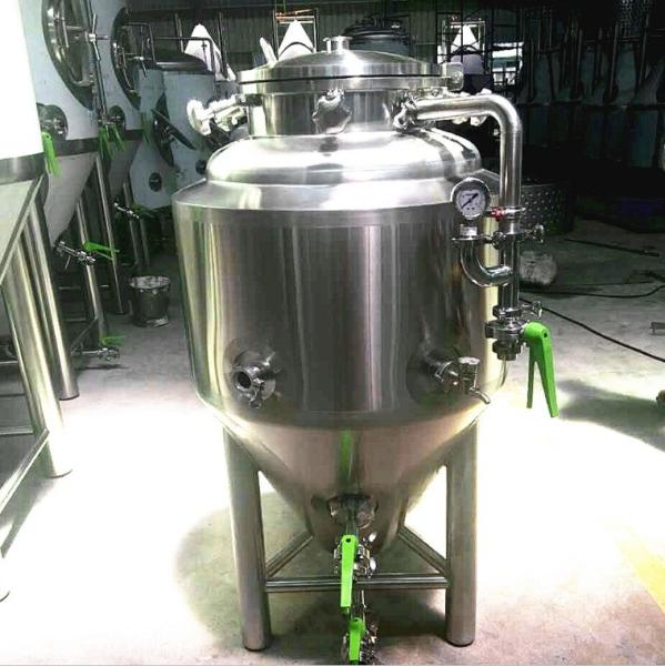 Polyurethane Insulation 1bbl Fermenter for Homebrew Fermentation Tank by GSTA