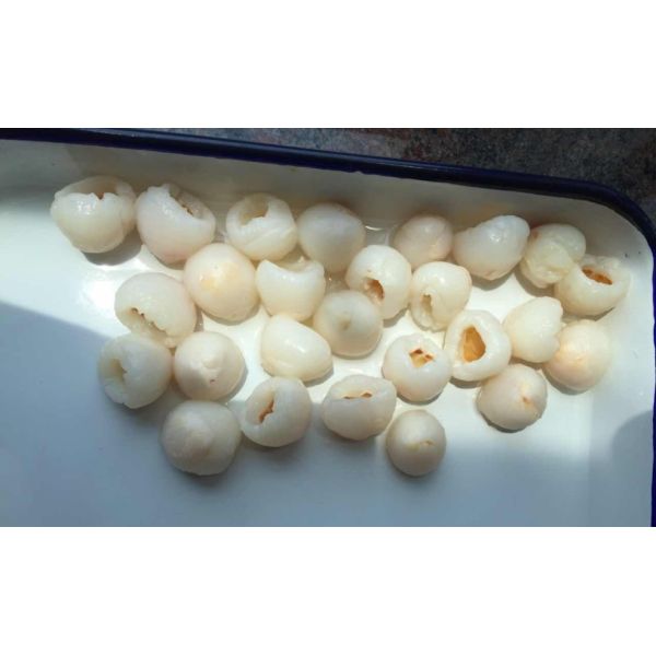 Tropical conserve de fruits nutritif litchi/conserve de fruits en vrac avec 4,0