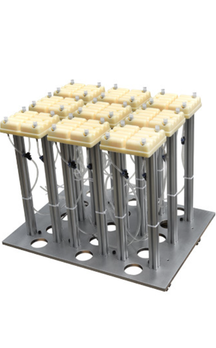 Customized Thermoforming Plastic Mold Supplier for Producing Disposable Plastic Cups and Lid, Eggs Box, Fruit Box, Cake Box, Meal Box