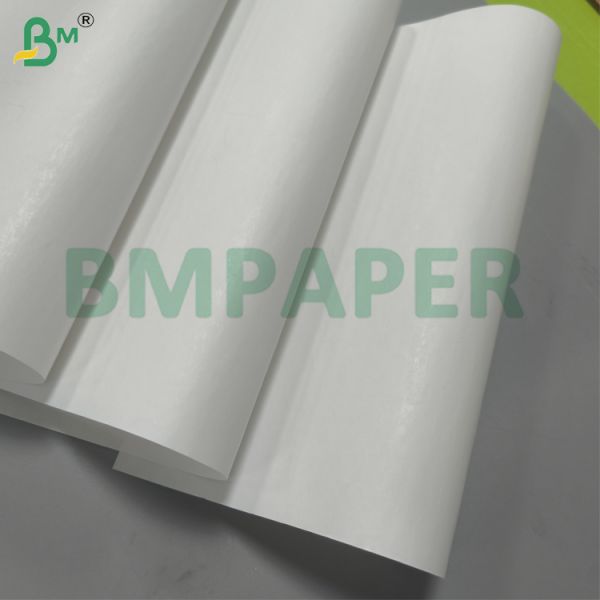 Medical Recording Paper Material 70gsm - 80gsm With Thermal Coating